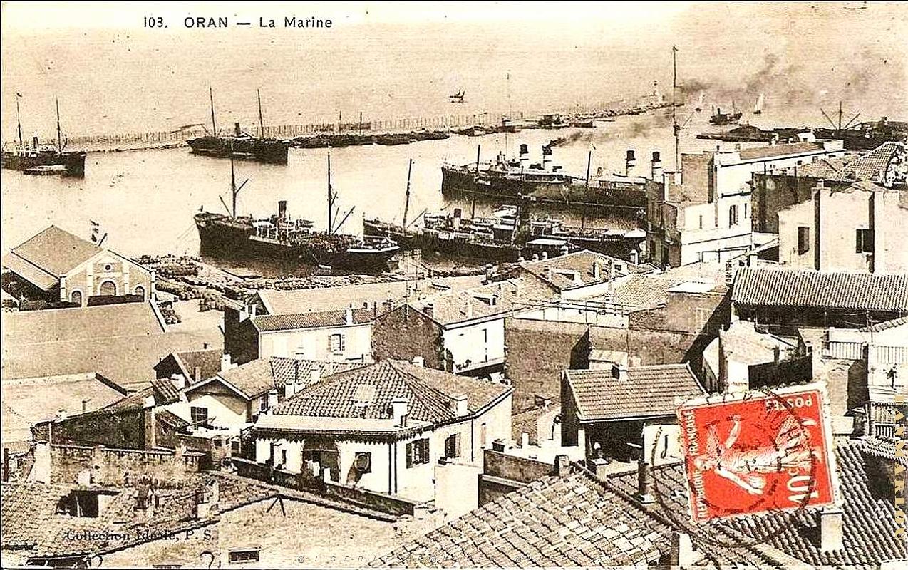 PO e- 457.jpg